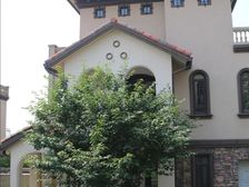 新津 牧山高第 5室3厅 289.36㎡ 368万