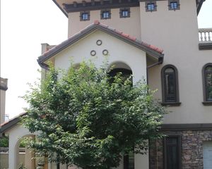 新津 牧山高第 5室3厅 289.36㎡ 368万