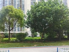 世纪商务中心1室1厅1卫东西朝向35.00万元出售