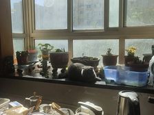 朝阳 北京好漾 2室1厅