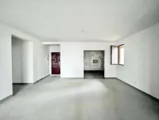 ��ï���ĺ�����