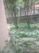 ɽˮ���Ǵ��