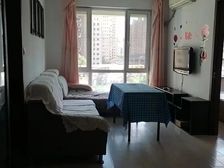 沈北新区 中央大学城 1室1厅