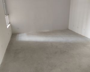 高新 雷士研发中心 3室2厅