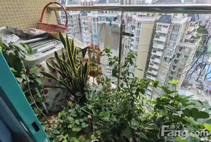 室内图
