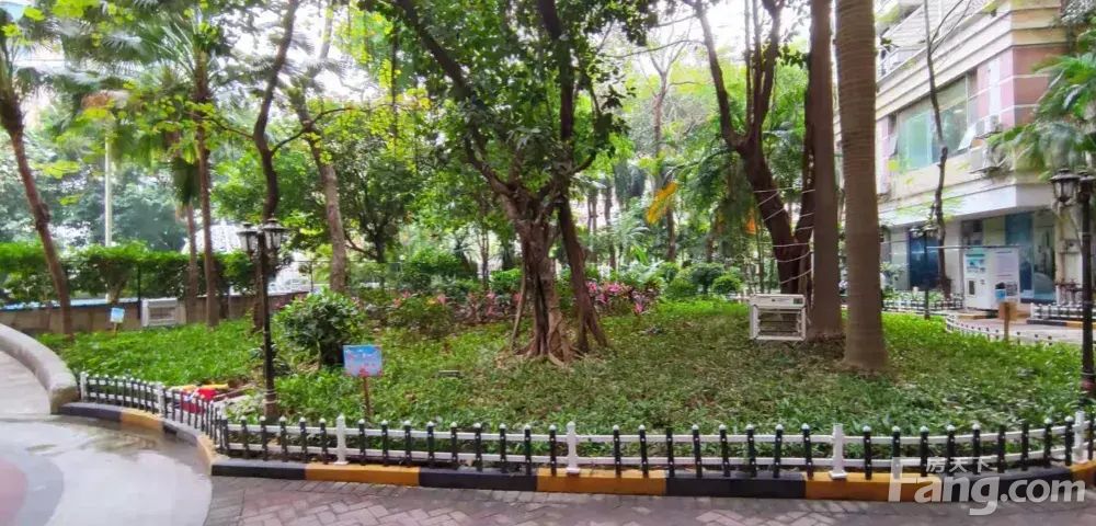 小区相关图