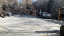 ����С�����