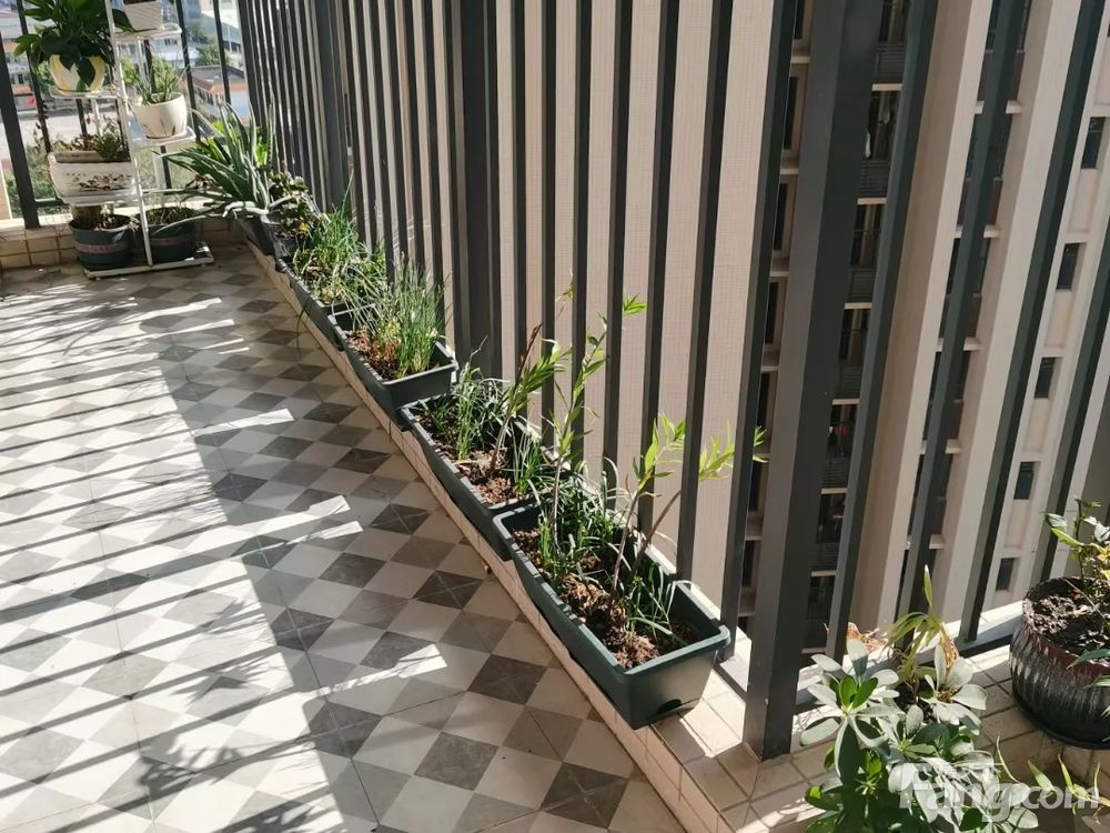 室内图