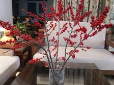 萨尔图 城市之光 4室2厅