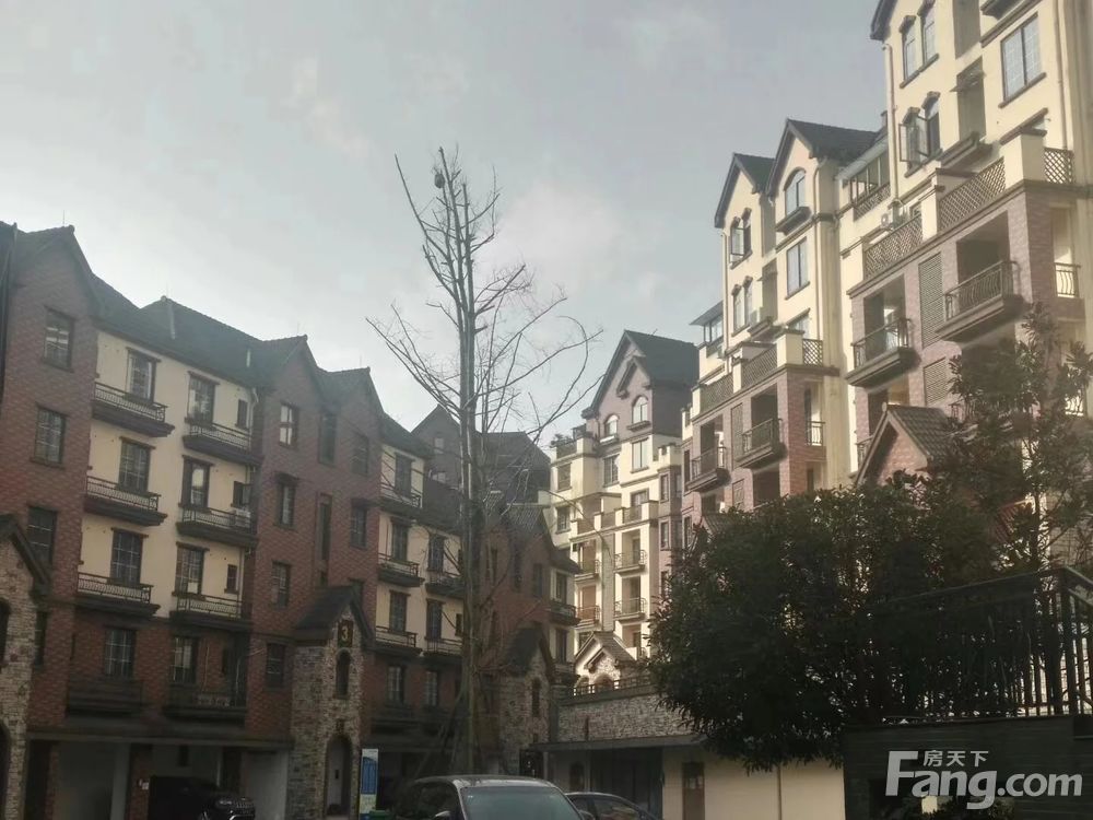 小区相关图