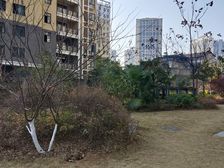 夷陵 长河湾 3室2厅