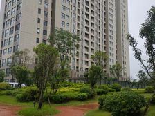 航空港区 润丰新尚 2室2厅