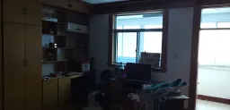 �̹�����
