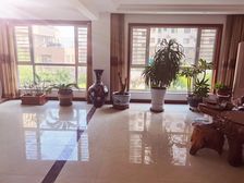 书香嘉苑330平复式4室4厅2卫带百平菜园地上双层车库储藏室