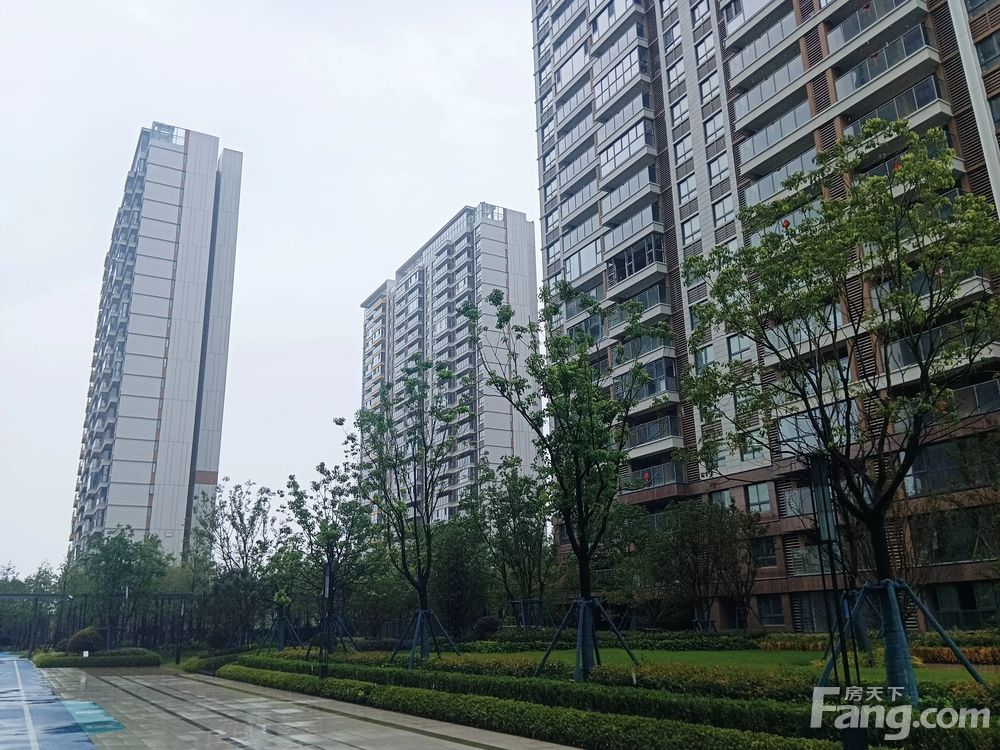 小区相关图