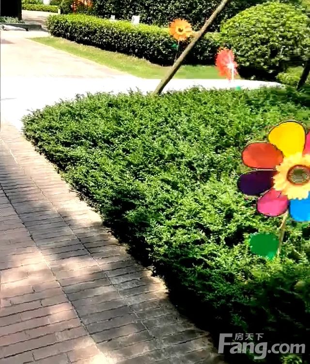 小区相关图