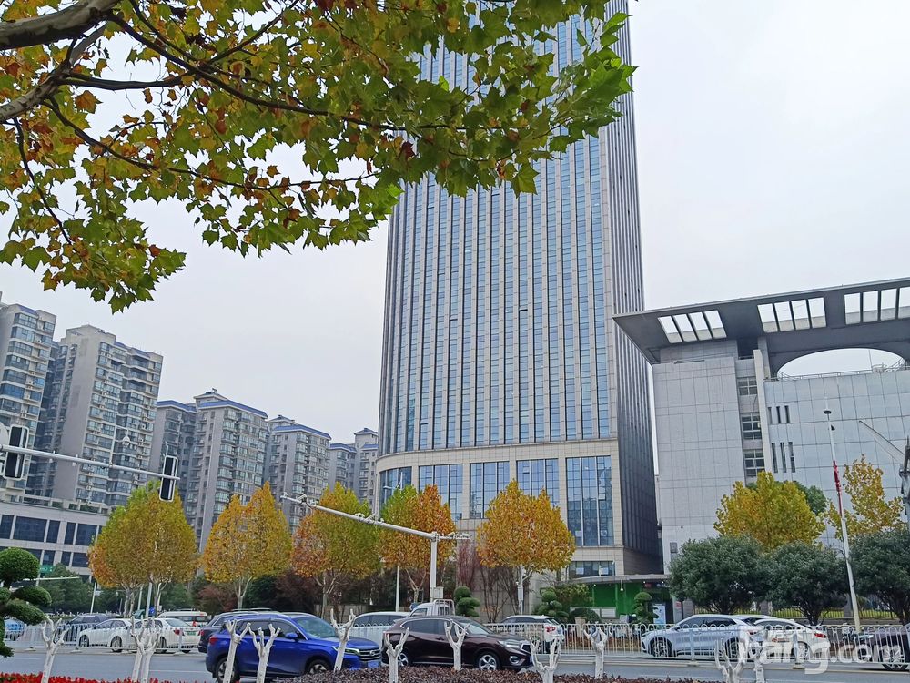 小区相关图