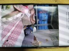 东兴区 蟠龙新城 3室2厅