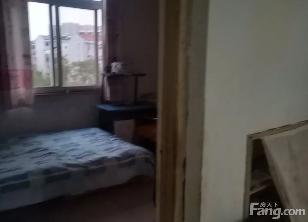 室内图