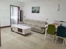 ���������ʮһ��