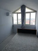 ��ɫ����С��