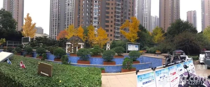 小区相关图