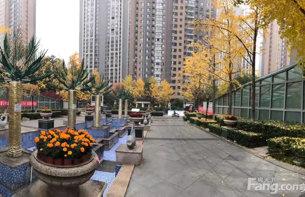 小区相关图