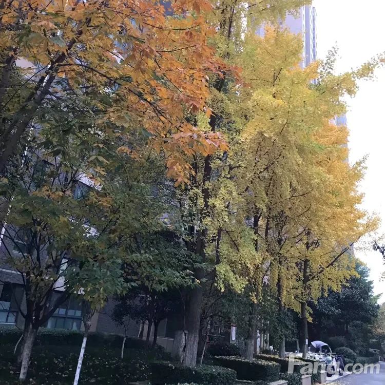 小区相关图
