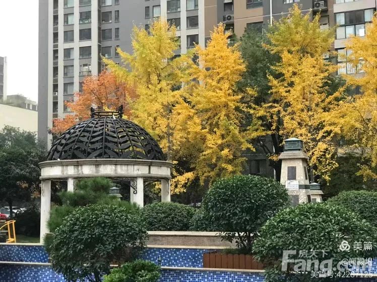 小区相关图