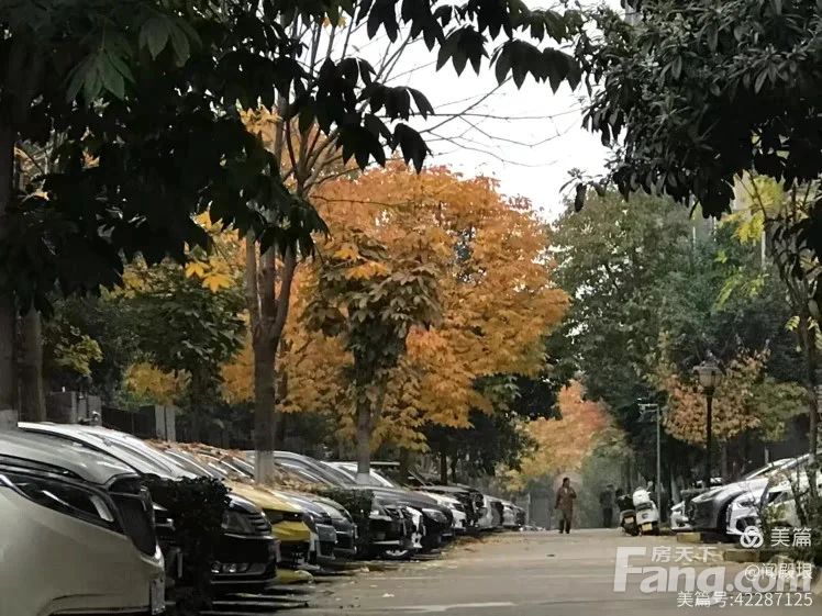 小区相关图