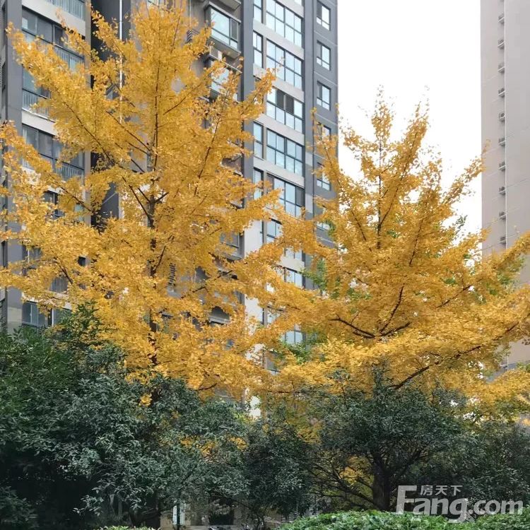 小区相关图