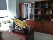 庐阳财富广场金鼎国际广场 纯写字楼甲级250