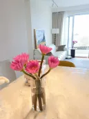 ������԰