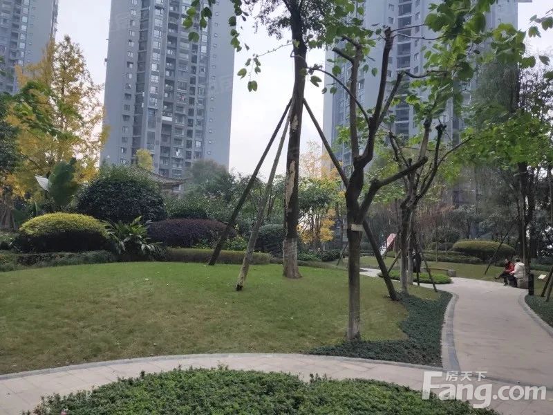 小区相关图