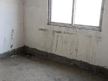 彭场镇 豪峰·绿色新都三期 2室1厅