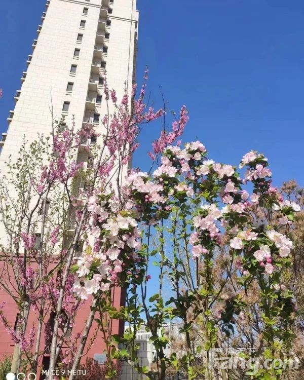 小区相关图