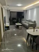 �ڳϴ������