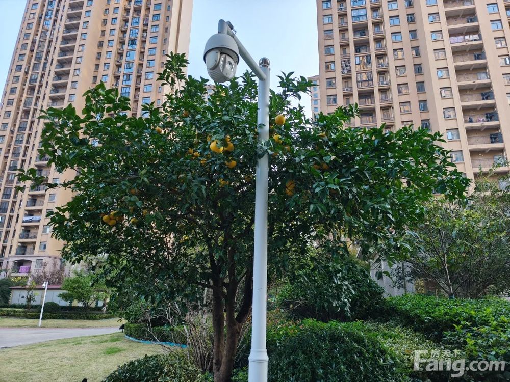 小区相关图