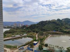神湾近珠海电梯3房38万