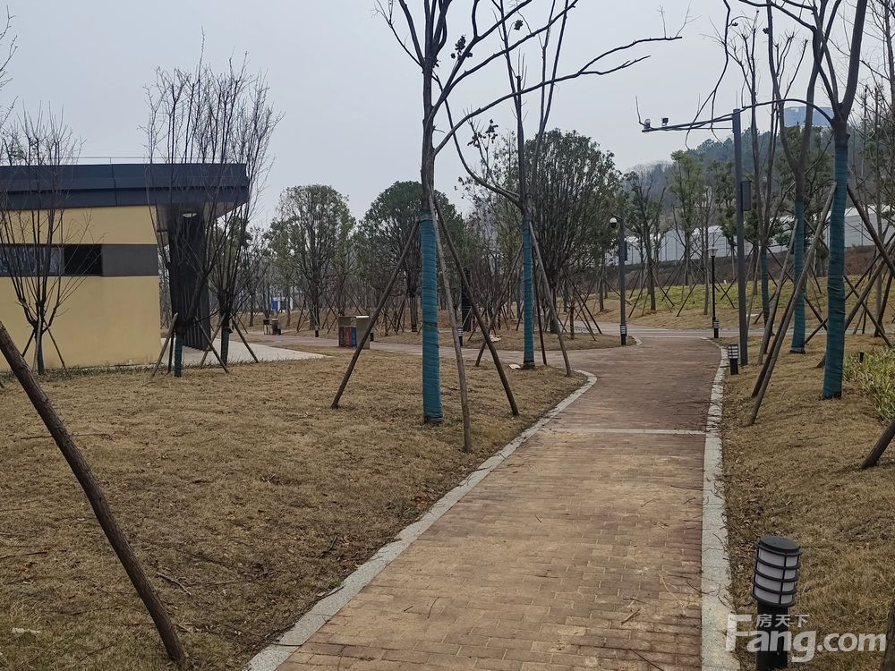 小区相关图