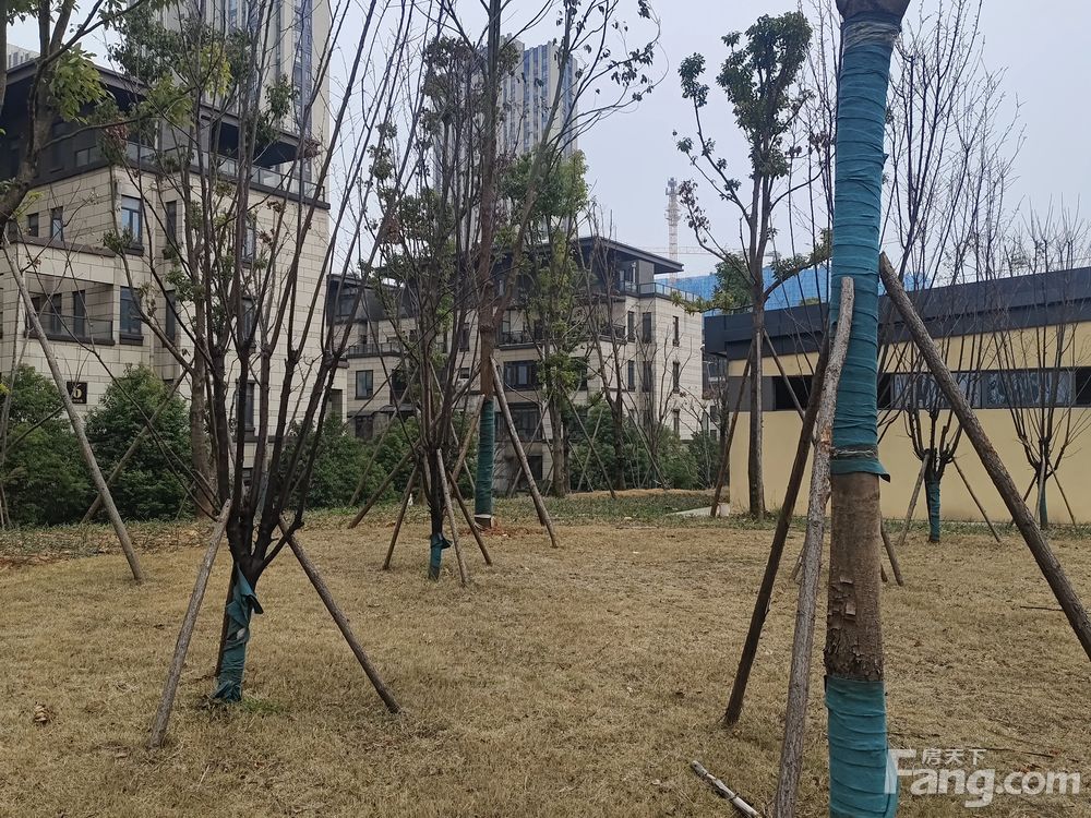 小区相关图