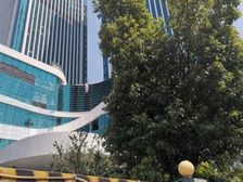 淳安 明珠花园 4室2厅