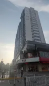 �гǹ���