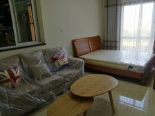 龙泉驿 炜岸城 1室1厅