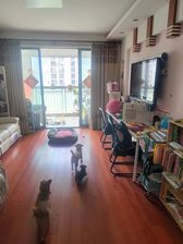 工业园区 欧洲城大两房 中间位置 高楼层 采光视野都奈斯