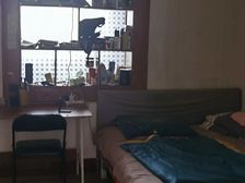 西陵 常刘路25号 2室1厅