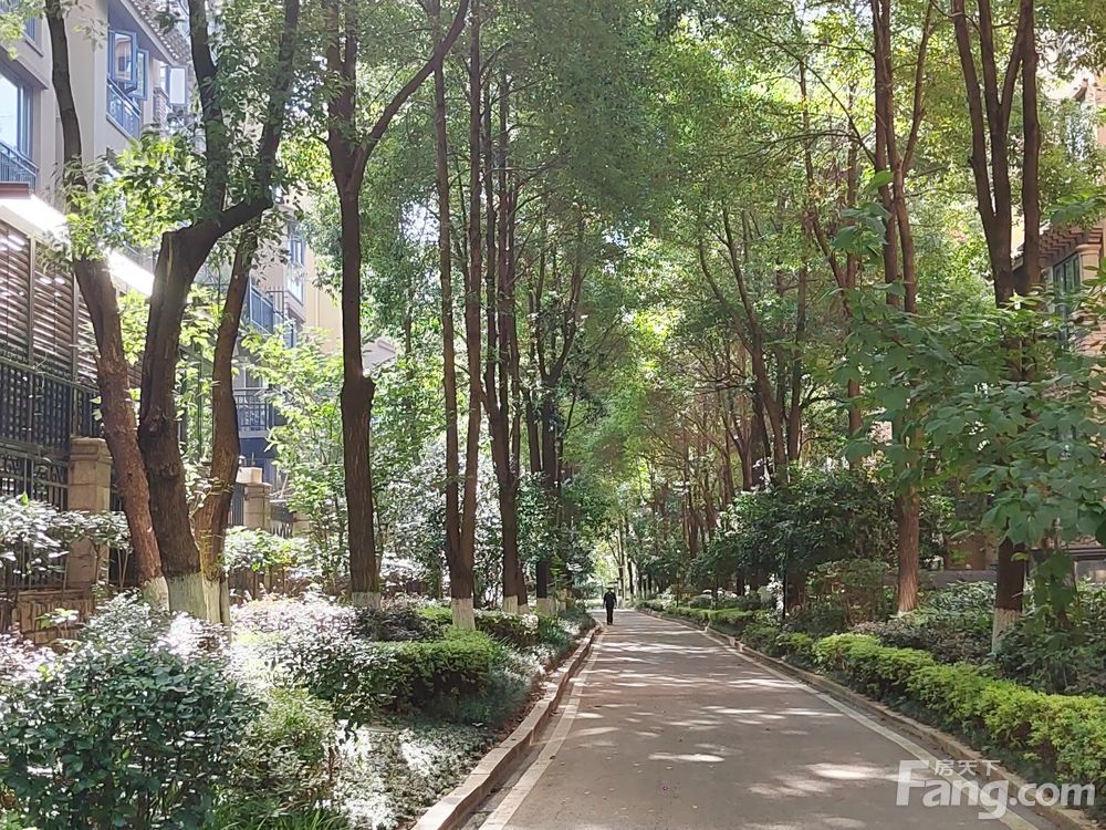 小区相关图