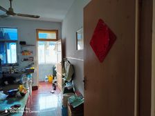 杜集区 岱河东村 2室1厅