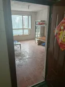 �Ϲⱱ��ɭ����