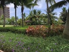 琼海 博鳌美丽熙海岸 1室1厅